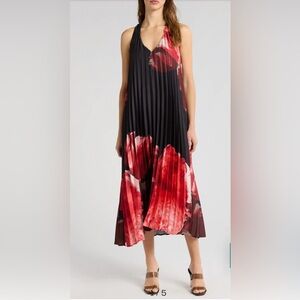 Socialite Black and Red Floral Maxi Dress